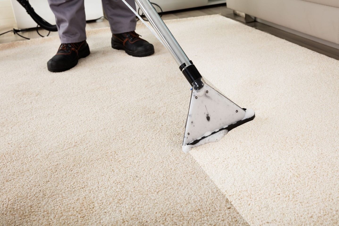 Signs That Your Carpet Requires Professional Cleaning