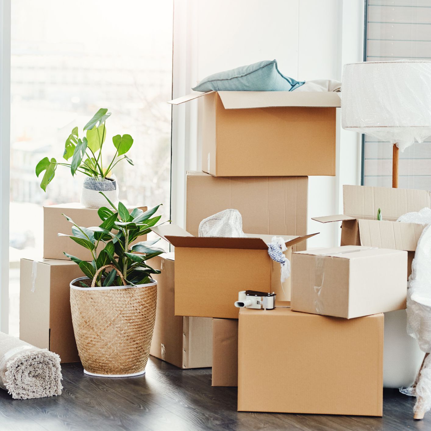 The Forgotten 5: What Not To Forget When You Move Home